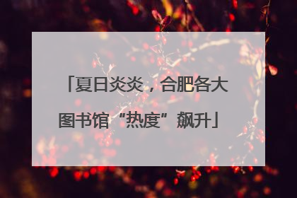 夏日炎炎，合肥各大图书馆“热度”飙升
